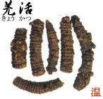 健康專欄